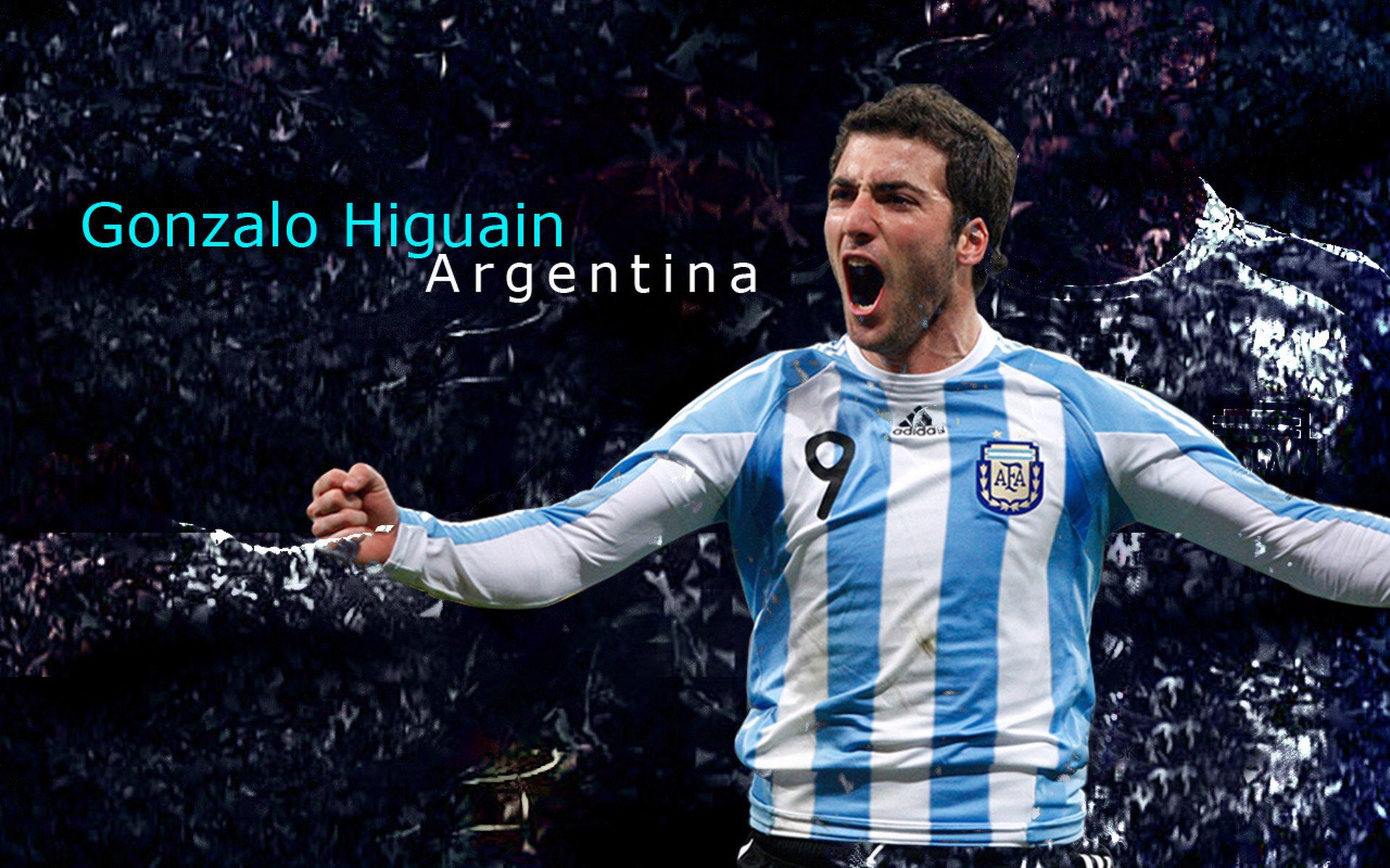 NBA球队粉丝增长策略,nba球队粉丝数